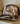 Timber SnapBack